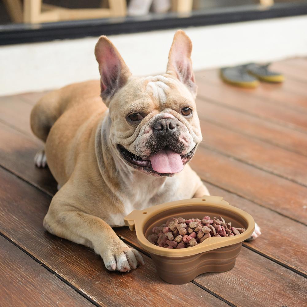 Dog Bowls  EverythingBranded USA