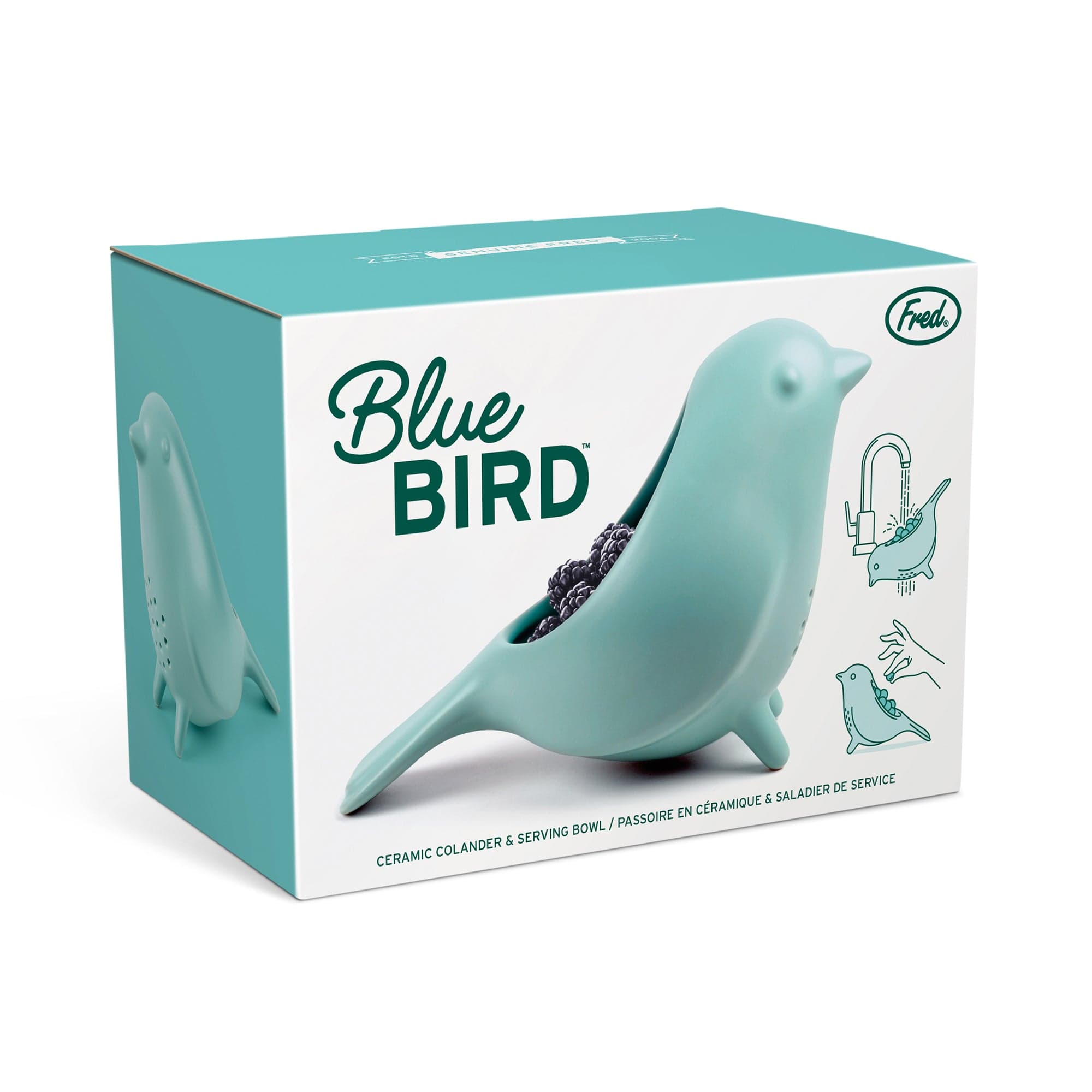 BLUE BIRD