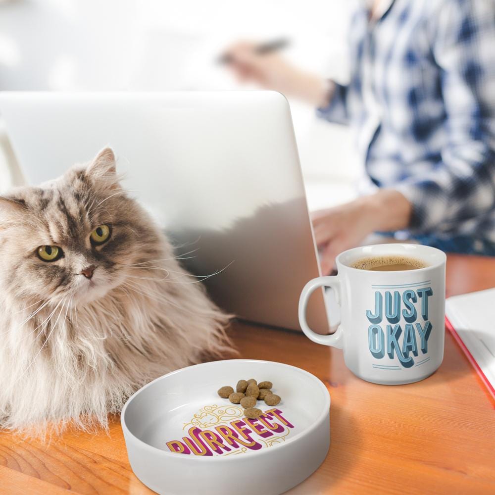 CERAMIC MUG + CAT BOWL SET