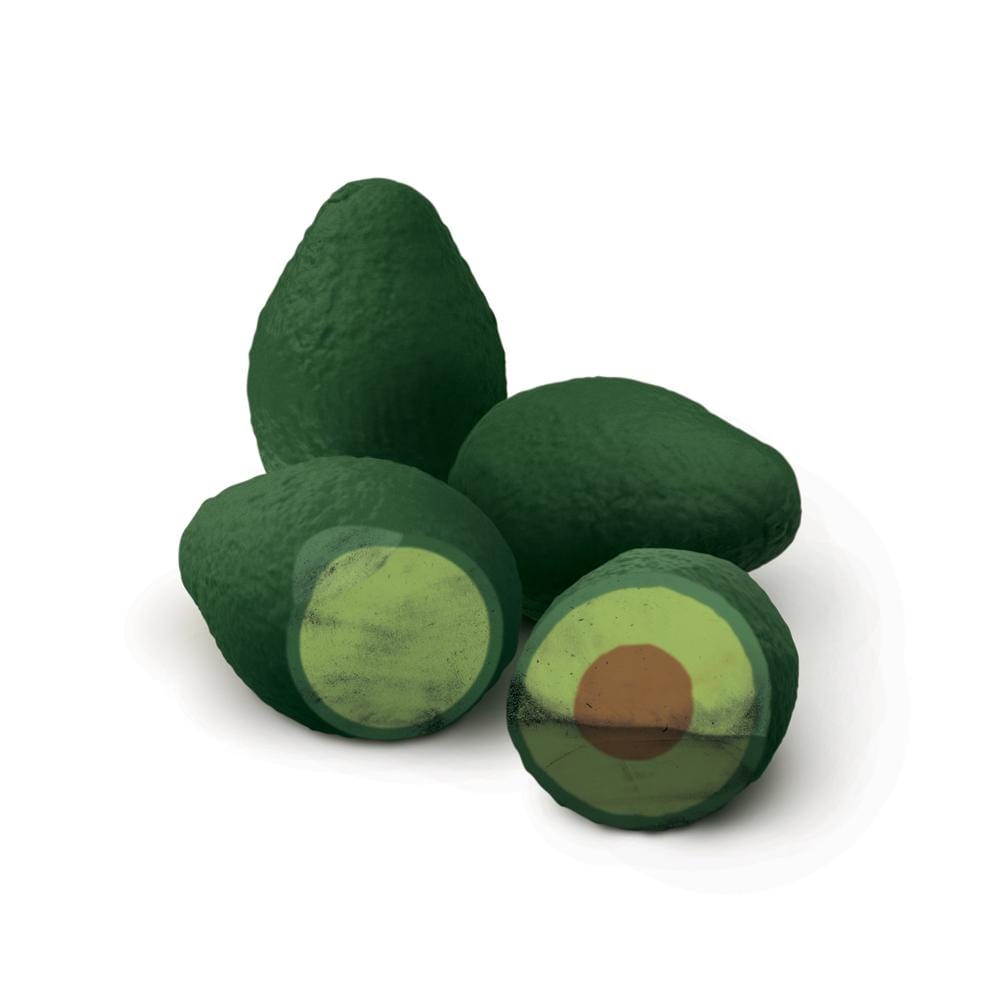 AVOCADO ERASERS