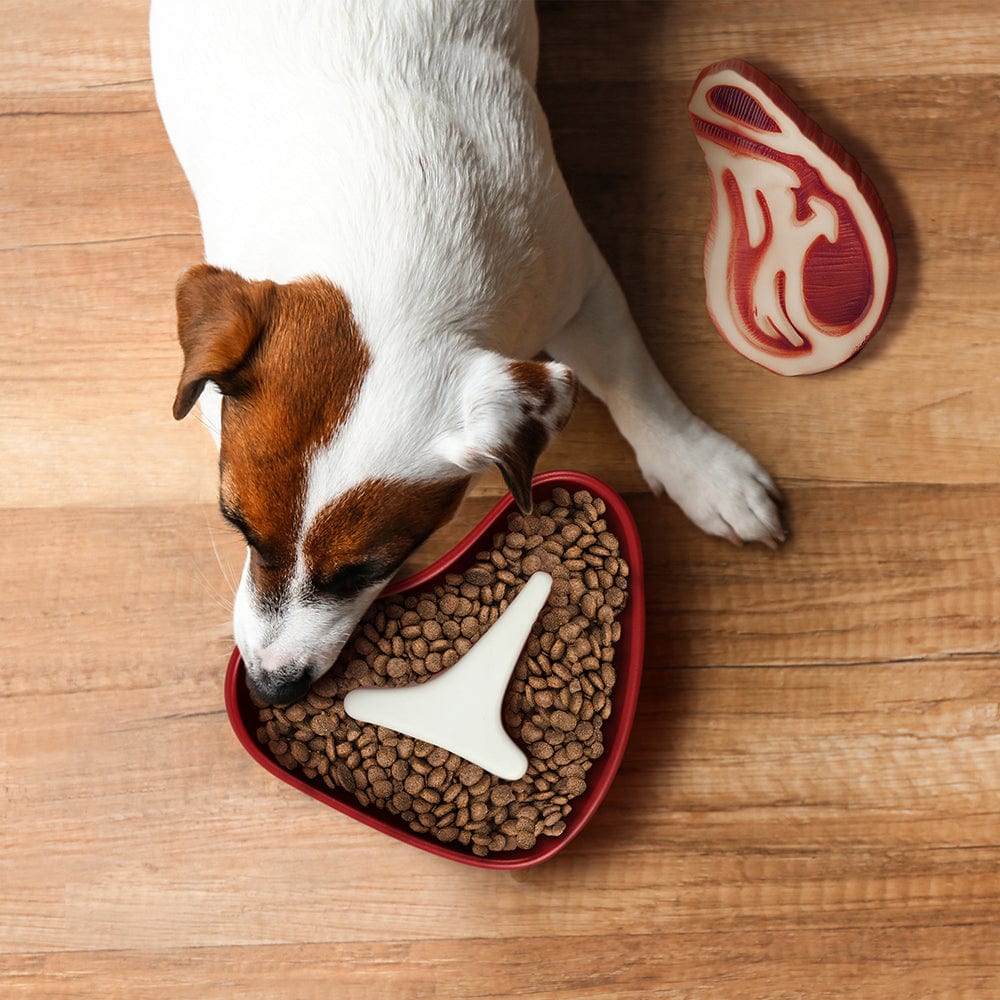 A dog bowl that looks like a T-bone steak