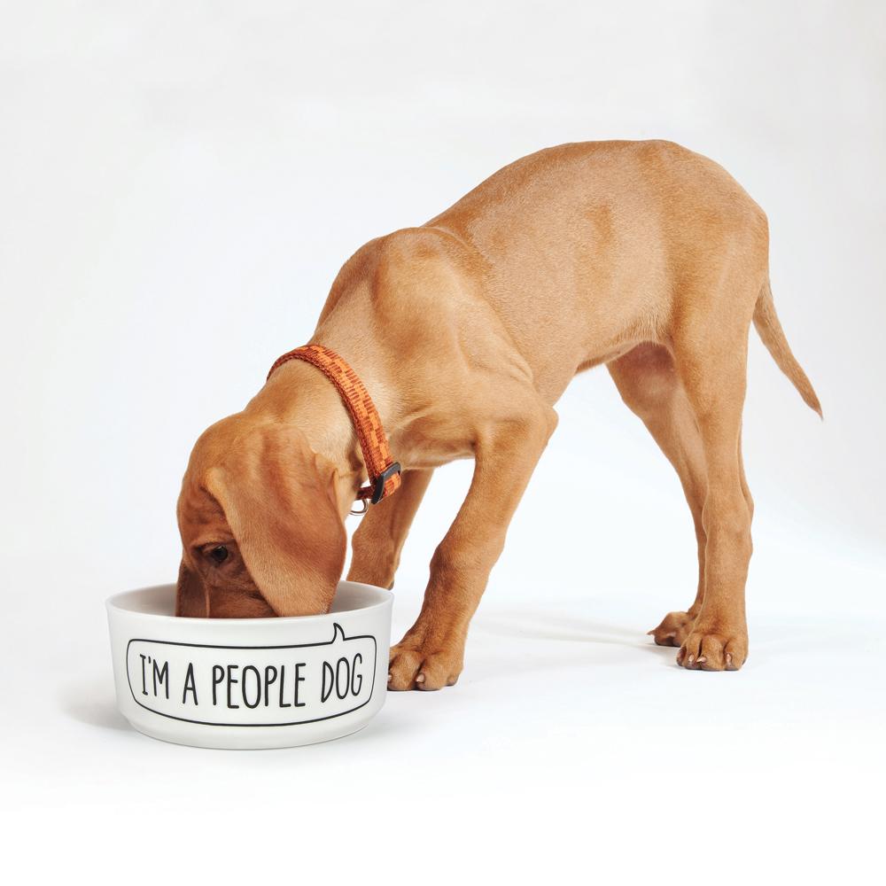 CERAMIC MUG + DOG BOWL SET